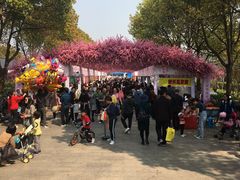 -南汇桃花村