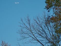 -十八棵（老龙井）御茶园(老龙井店)