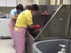 -北京观赏动物医院·24小时大型综合·猫专科·异宠专科