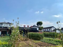 -阳澄湖半岛旅游度假区