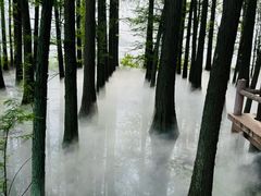 -东湖落雁景区