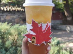 -香山公园
