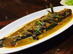 -俏东方·海味水饺·青岛菜(崂山店)