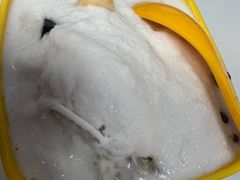 -于春正宗椰奶清补凉炒冰