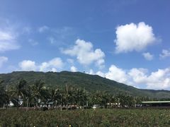 -亚龙湾国际玫瑰谷