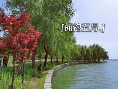-阳澄湖半岛旅游度假区