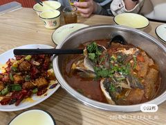 番茄罗非鱼-风鑫铃罗非鱼(道沟店)