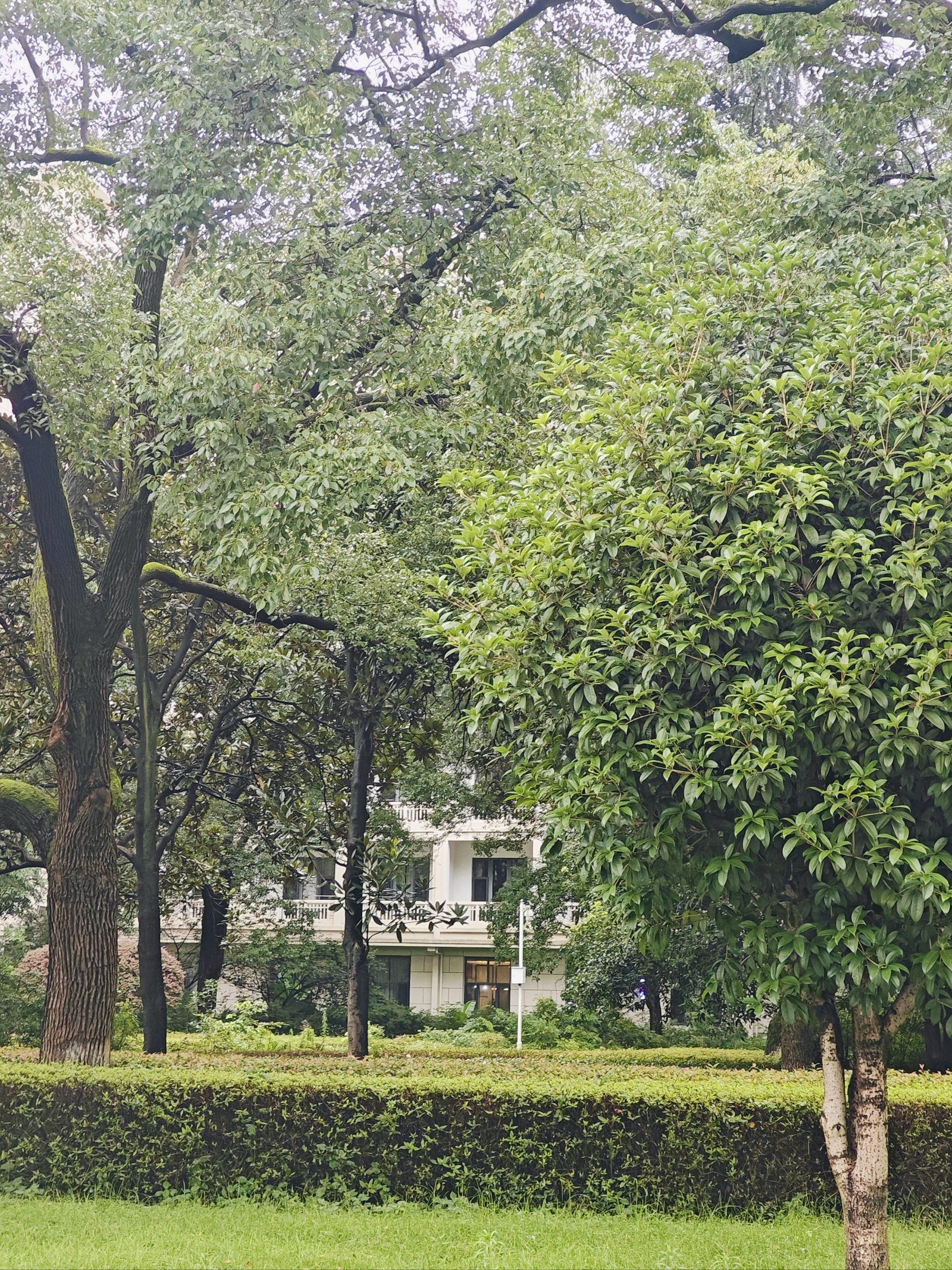 来湖南宾馆溜溜自己