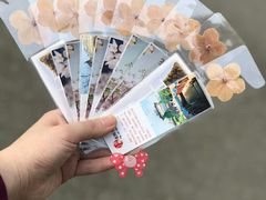 -武汉大学-樱园
