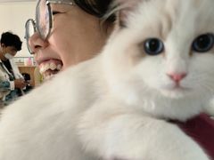 -美联众合动物医院·24h京西诊疗中心