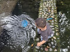 -成都市活水公园