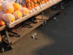 -大连双兴商品城