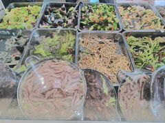 -闫家驴肉老店(华电一校店)