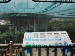 -九龙公园