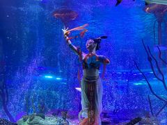 -沈阳海洋探索中心