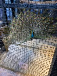 -酷嗒动物文化乐园(cutezoo西溪乐天城店)