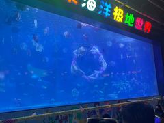 -蓬莱欧乐堡海洋极地世界