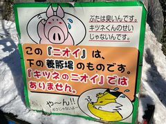 -宫城藏王狐狸村