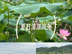 -洋湖国家湿地公园
