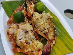 老虎虾-纽顿熟食中心