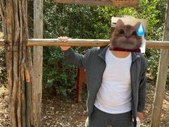 -玻璃桥景区石牛寨