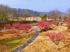 -黄陂区野村谷景区