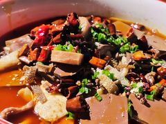 毛血旺-眼镜哥浦江夜宵大本营