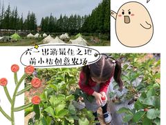 -前小桔亲子创意农场·草莓采摘·露营烧烤