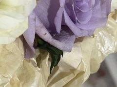 -万卉源鲜花店(百尚生活广场店)