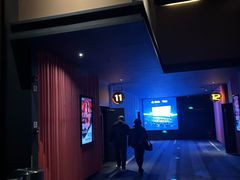 -万达影城(闵行颛桥万达广场杜比影院店)