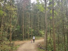 -青龙山国家森林公园