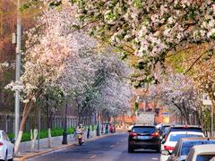 -天津五大道文化旅游区