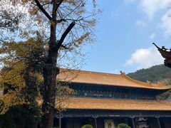 -普陀山风景名胜区-法雨禅寺