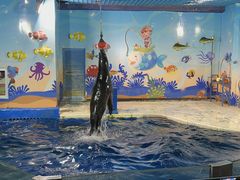 -太平洋海底世界