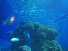 -成都浩海立方海洋公园