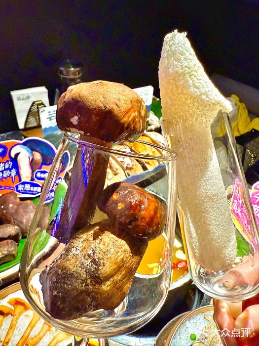 芸山季·云南野生菌火锅(人民广场来福士店)图片