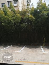 -后宫·古装汉服京剧儿童亲子全家福摄影