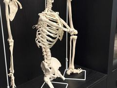-TOP健身私教工作室(侨香店)