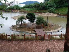 -泉州海丝野生动物世界