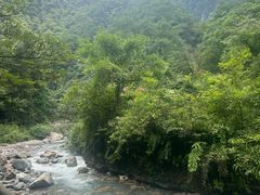-西岭雪山大飞水景区