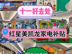 -红星美凯龙(北京北四环店)