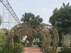 -广东花都香草世界旅游度假区
