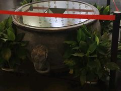 -儒之堂足道·SPA·推拿(莫干山路店)