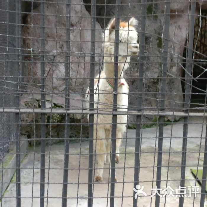 三明市动物园售票处