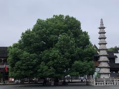 -香积寺