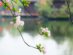 -棠湖公园