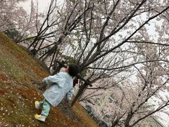 -玲珑汤泉生活会馆(花桥店)