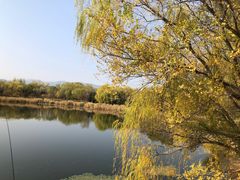 -北坞公园