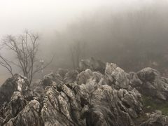 -千岛湖石林