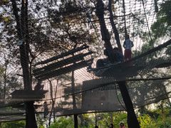 -芦仙山景区-飞越丛林探险乐园